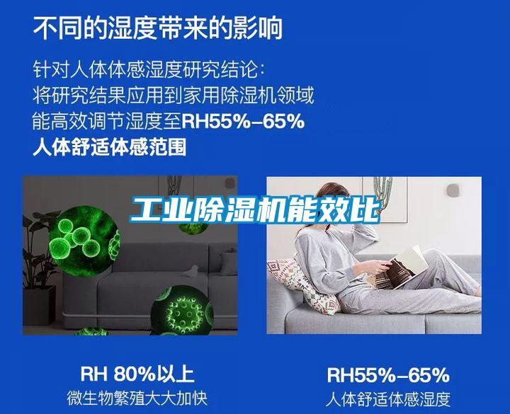 工業(yè)除濕機能效比