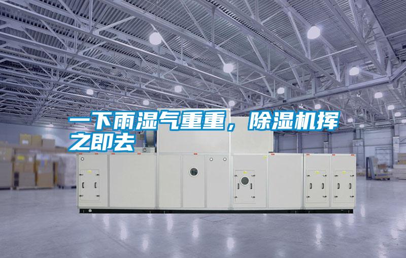 一下雨濕氣重重，除濕機揮之即去