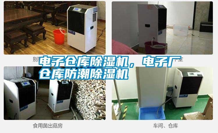 電子倉庫除濕機,電子廠倉庫防潮除濕機