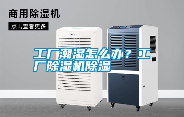 工廠潮濕怎么辦？工廠除濕機除濕