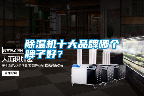 除濕機(jī)十大品牌哪個牌子好?
