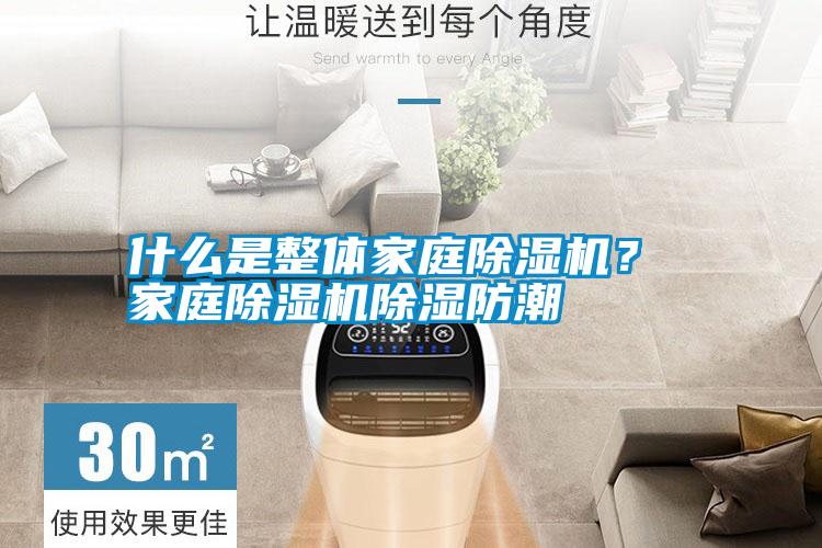 什么是整體家庭除濕機？ 家庭除濕機除濕防潮