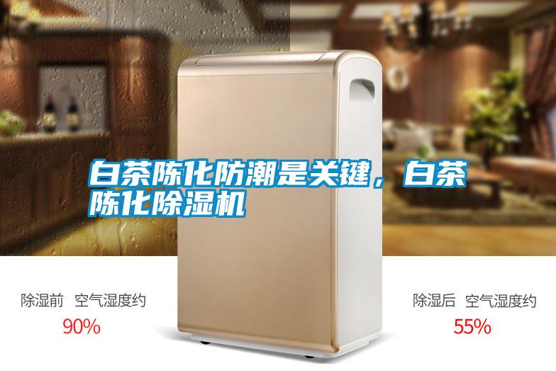 白茶陳化防潮是關(guān)鍵,白茶陳化除濕機