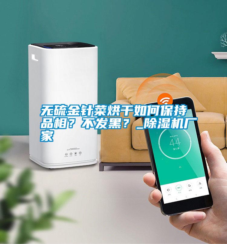 無(wú)硫金針菜烘干如何保持品相？不發(fā)黑？_除濕機(jī)廠家