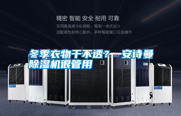 冬季衣物干不透？ 安詩曼除濕機很管用