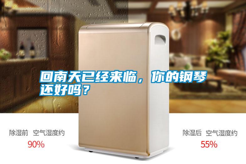 回南天已經(jīng)來臨,你的鋼琴還好嗎?