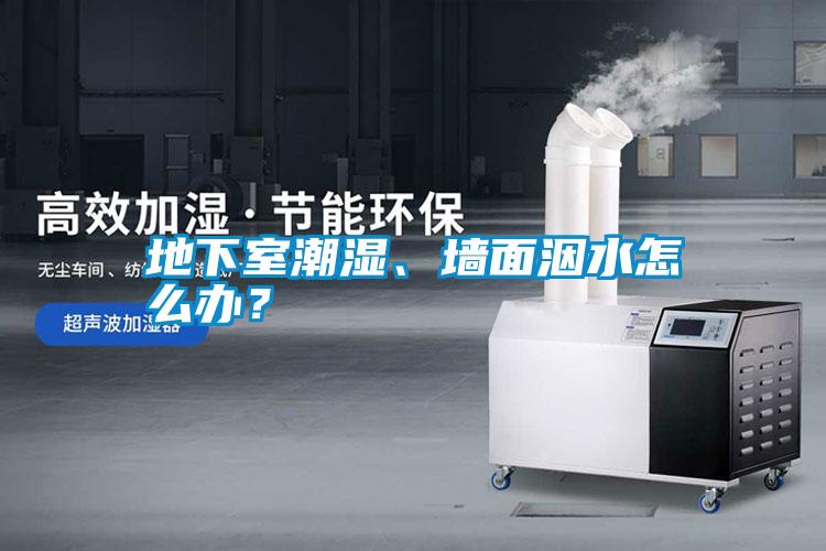 地下室潮濕、墻面洇水怎么辦？