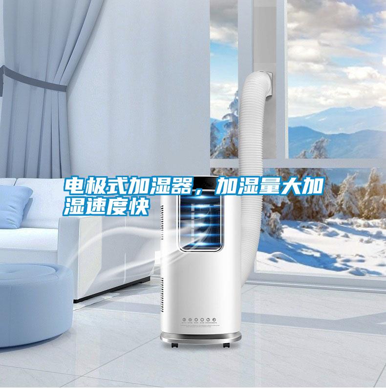 電極式加濕器，加濕量大加濕速度快