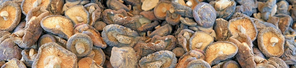 蘑菇干燥和包裝過程中的水分控制 蘑菇干燥和包裝過程中的水分控制