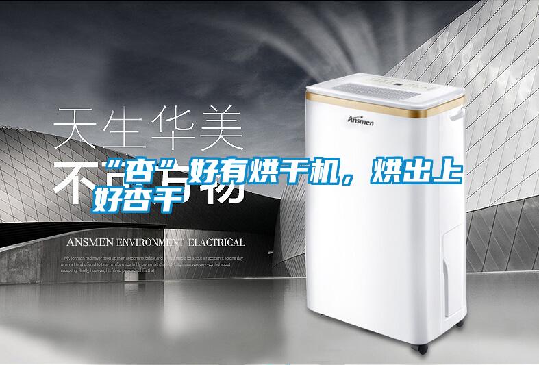 “杏”好有烘干機,烘出上好杏干