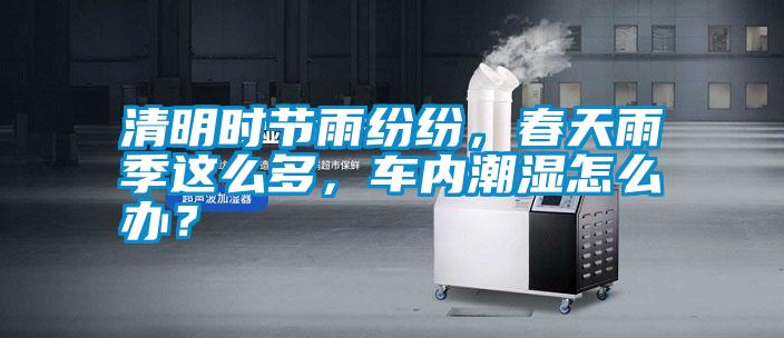 清明時節雨紛紛,春天雨季這么多,車內潮濕怎么辦?