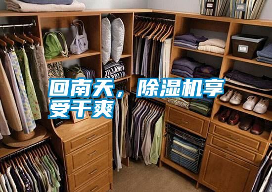 回南天,除濕機享受干爽