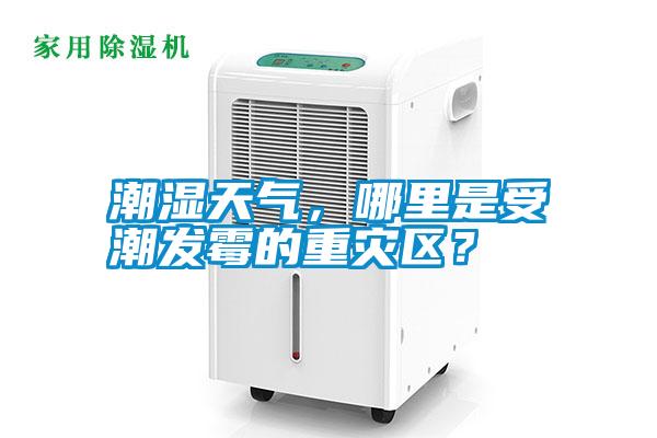 潮濕天氣,哪里是受潮發霉的重災區?