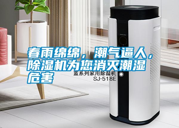 春雨綿綿,潮氣逼人,除濕機為您消滅潮濕危害