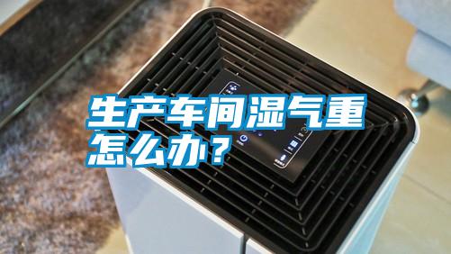 生產車間濕氣重怎么辦？
