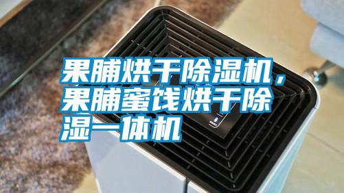 果脯烘干除濕機(jī)，果脯蜜餞烘干除濕一體機(jī)