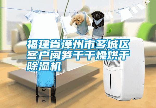 福建省漳州市薌城區客戶閩筍干干燥烘干除濕機