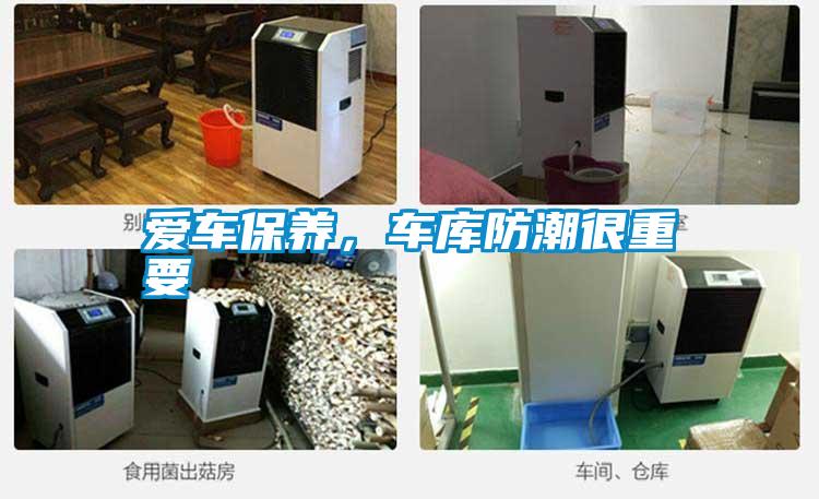 愛車保養，車庫防潮很重要
