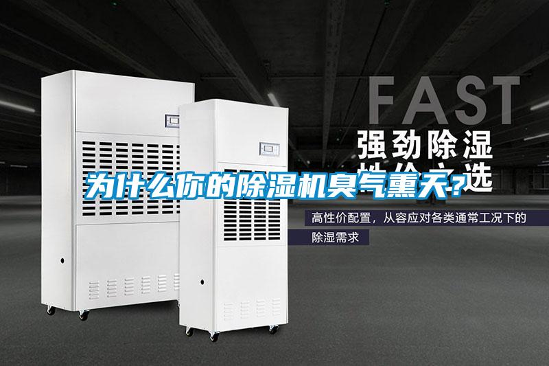 為什么你的除濕機臭氣熏天?