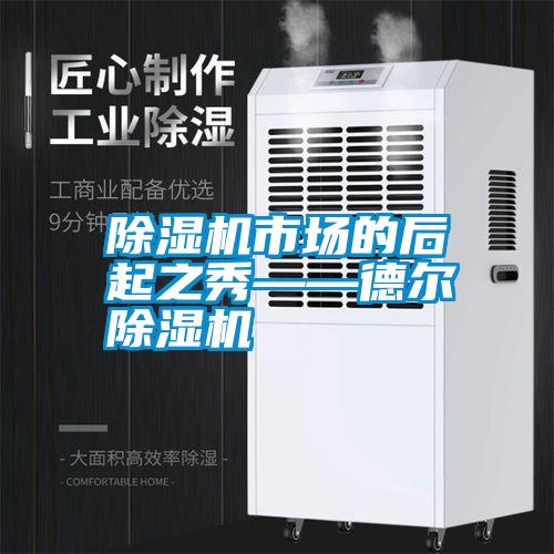 除濕機市場的后起之秀——德爾除濕機