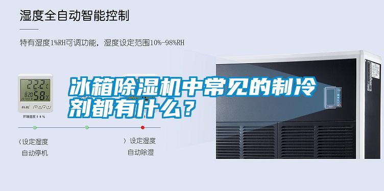 冰箱除濕機中常見的制冷劑都有什么？