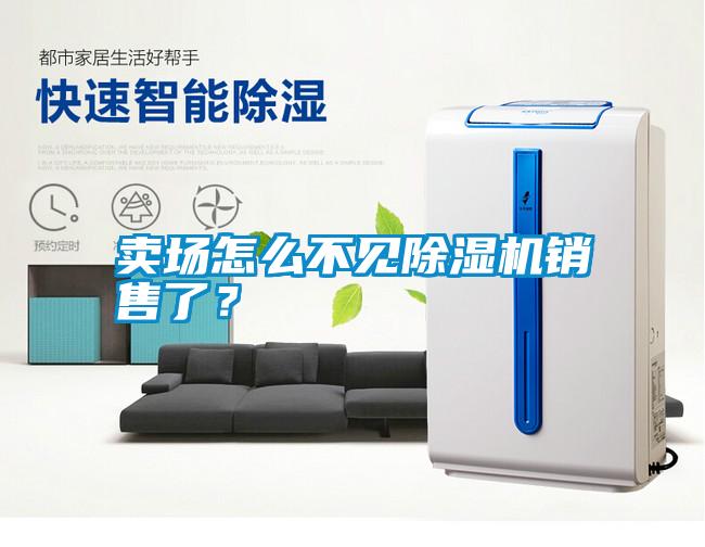 賣場怎么不見除濕機銷售了?
