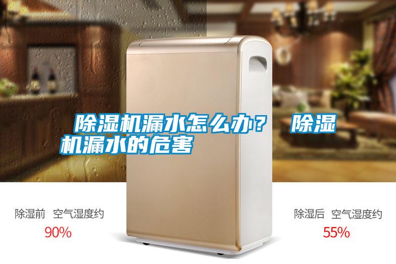 除濕機(jī)漏水怎么辦? 除濕機(jī)漏水的危害