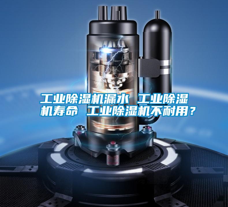 工業(yè)除濕機(jī)漏水 工業(yè)除濕機(jī)壽命 工業(yè)除濕機(jī)不耐用?