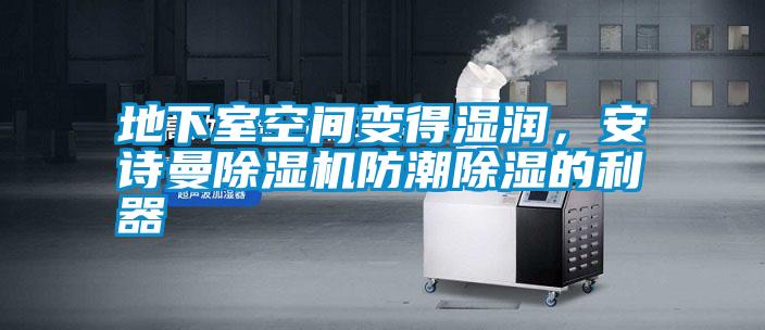 地下室空間變得濕潤，安詩曼除濕機防潮除濕的利器