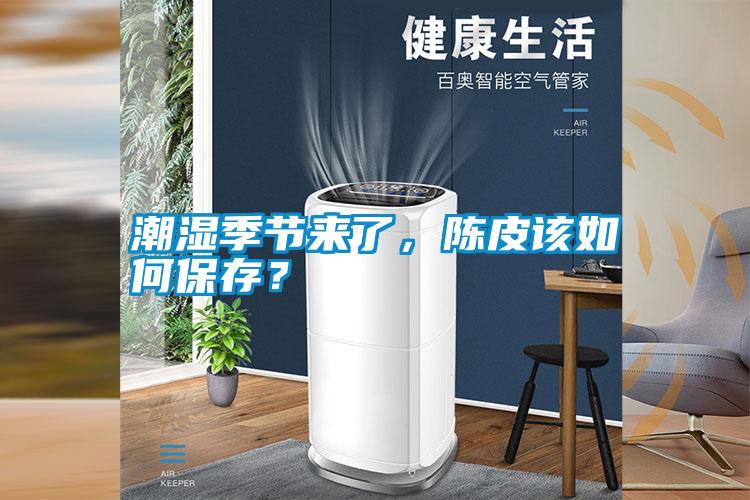 潮濕季節來了,陳皮該如何保存?