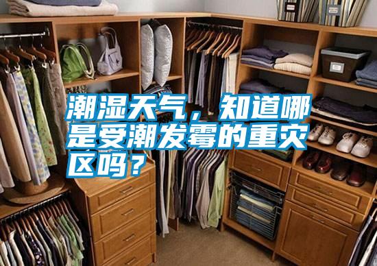 潮濕天氣，知道哪是受潮發霉的重災區嗎？