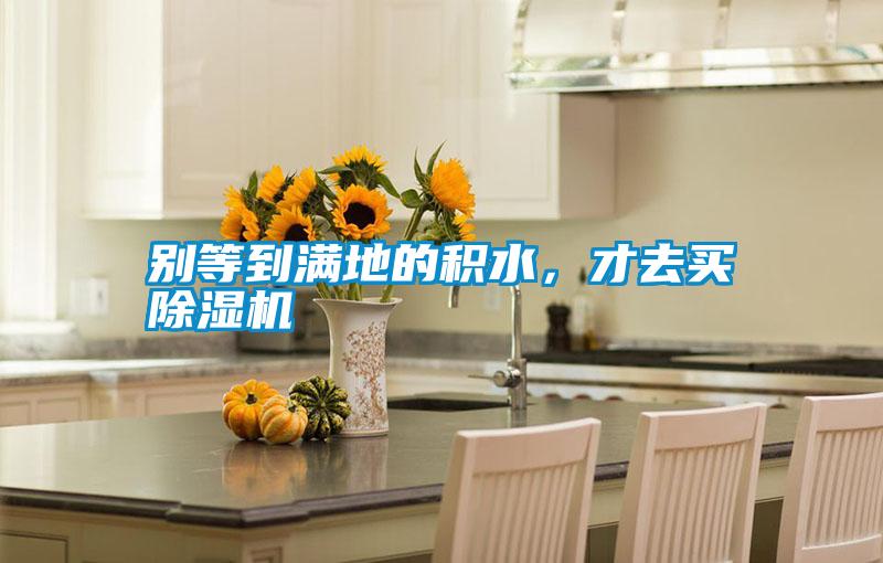 別等到滿地的積水,才去買除濕機