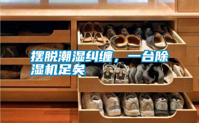 擺脫潮濕糾纏,一臺除濕機(jī)足矣