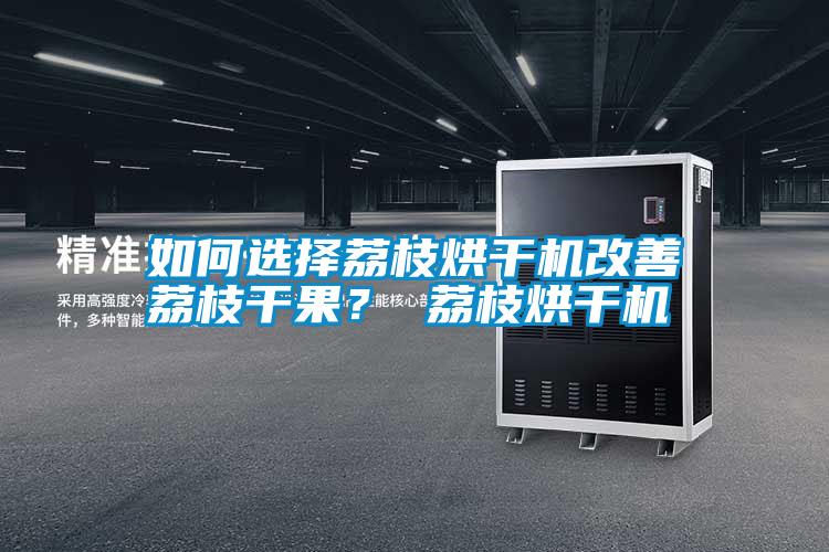 如何選擇荔枝烘干機改善荔枝干果? 荔枝烘干機