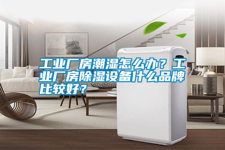 工業廠房潮濕怎么辦?工業廠房除濕設備什么品牌比較好?