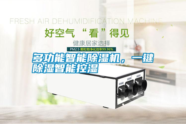 多功能智能除濕機，一鍵除濕智能控濕