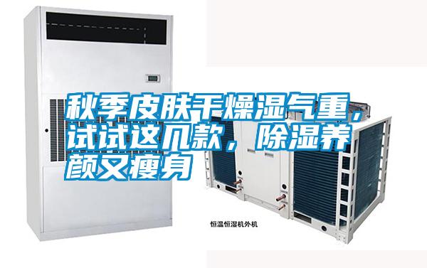秋季皮膚干燥濕氣重,試試這幾款,除濕養(yǎng)顏又瘦身