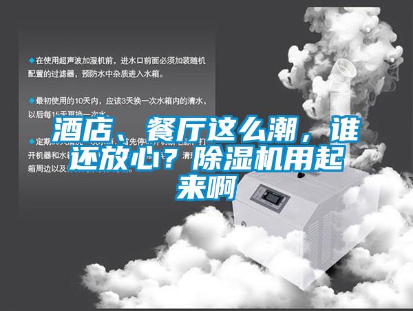 酒店、餐廳這么潮,誰還放心?除濕機用起來啊