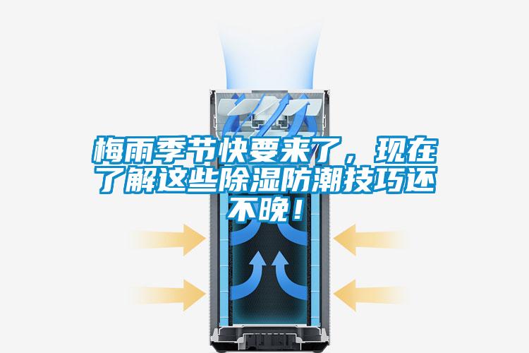 梅雨季節快要來了,現在了解這些除濕防潮技巧還不晚!