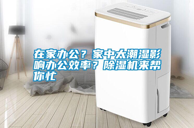 在家辦公?家中太潮濕影響辦公效率?除濕機來幫你忙