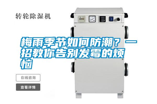 梅雨季節如何防潮?一招教你告別發霉的煩惱