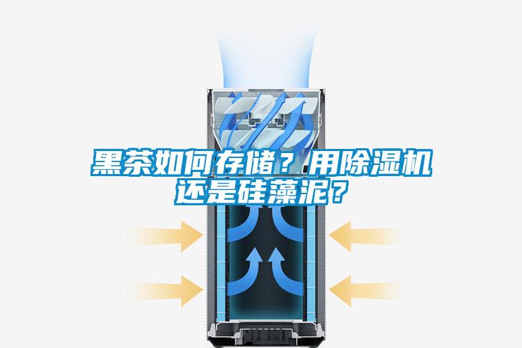 黑茶如何存儲(chǔ)？用除濕機(jī)還是硅藻泥？