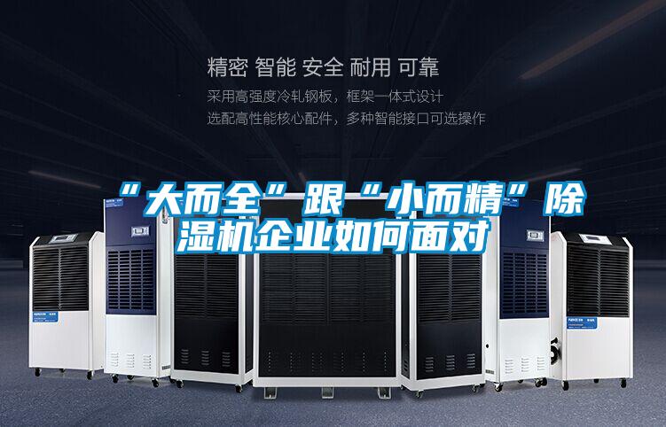 “大而全”跟“小而精”除濕機企業如何面對