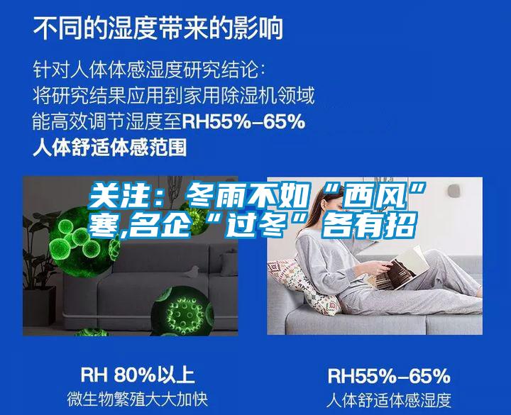 關注:冬雨不如“西風”寒,名企“過冬”各有招