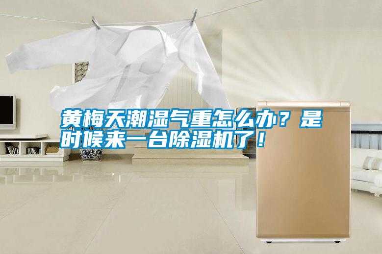黃梅天潮濕氣重怎么辦？是時候來一臺除濕機了！