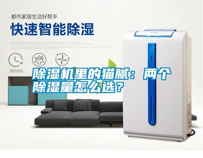 除濕機里的貓膩：兩個除濕量怎么選？