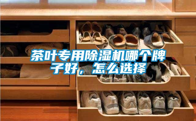 茶葉專用除濕機哪個牌子好,怎么選擇
