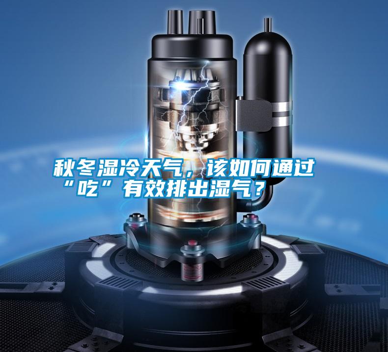 秋冬濕冷天氣，該如何通過“吃”有效排出濕氣？