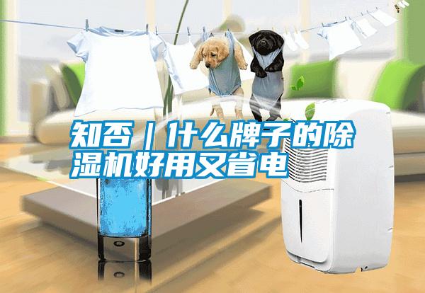 知否|什么牌子的除濕機好用又省電