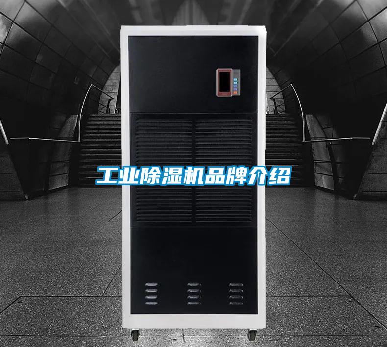 工業除濕機品牌介紹